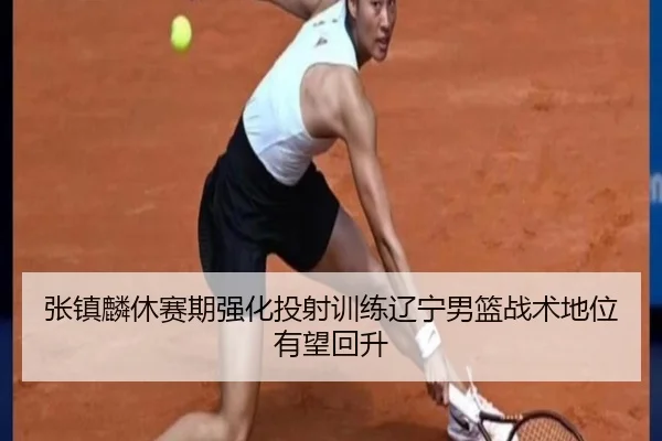 张镇麟休赛期强化投射训练辽宁男篮战术地位有望回升